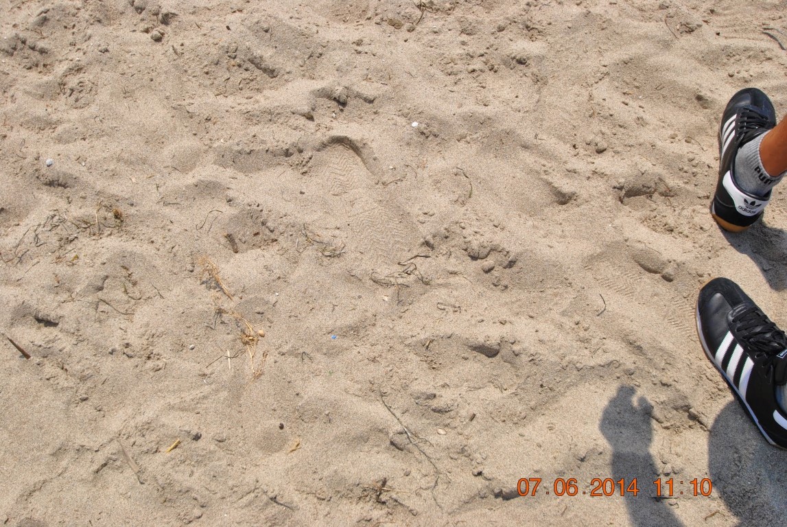 imagini hotel ATLANTIQUE KUSADASI